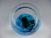 Neptune Celestial Paperweight 3" diameter
